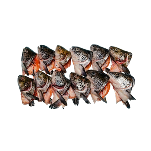 Salmon Heads - Right Start