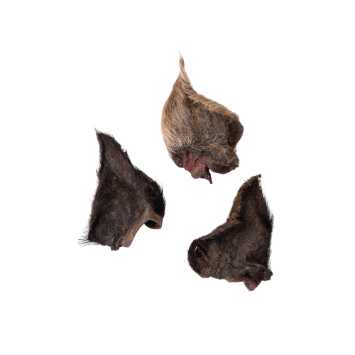 Wild Boar Ears - Fur On - 2 For $10