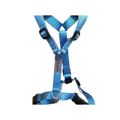 Ice Blue Harness