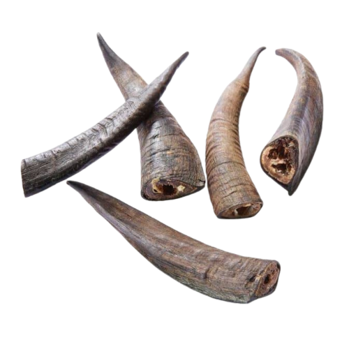 Goat Horns Large