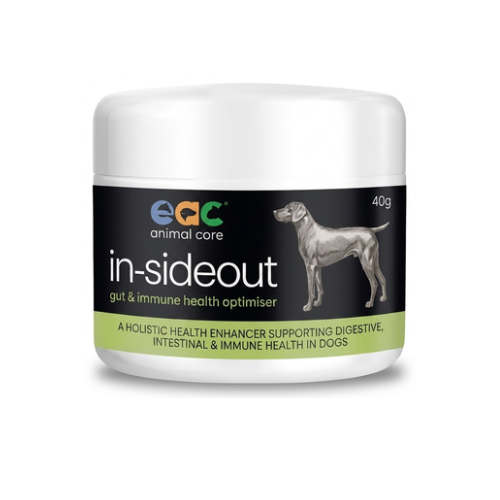 Dog - Inside Out Evolution