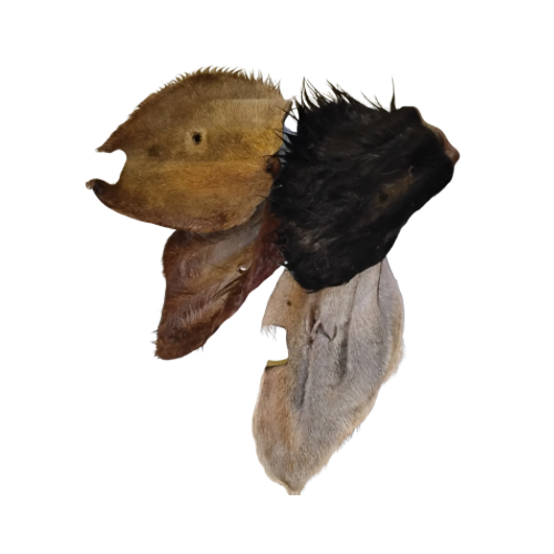 Cow Ears - Fur On