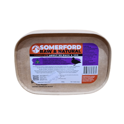 Somerford Duck