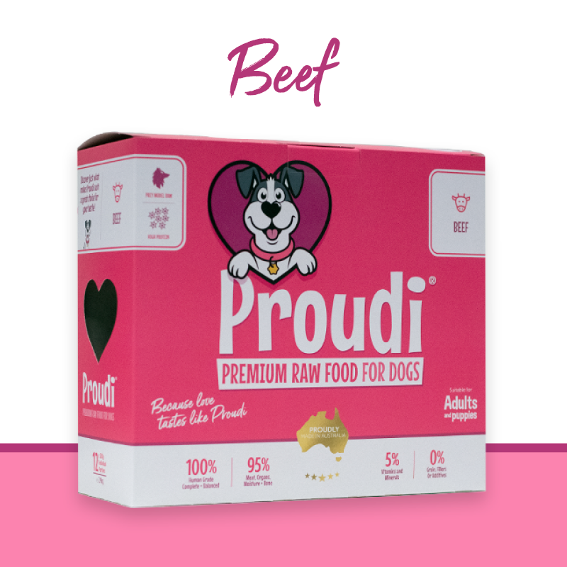 Proudi DOG Beef 2.4kg