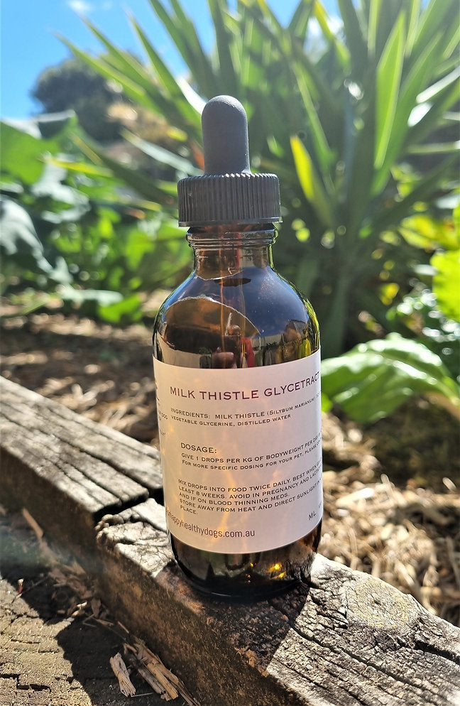 Milk Thistle 100ml - Canine Vitality