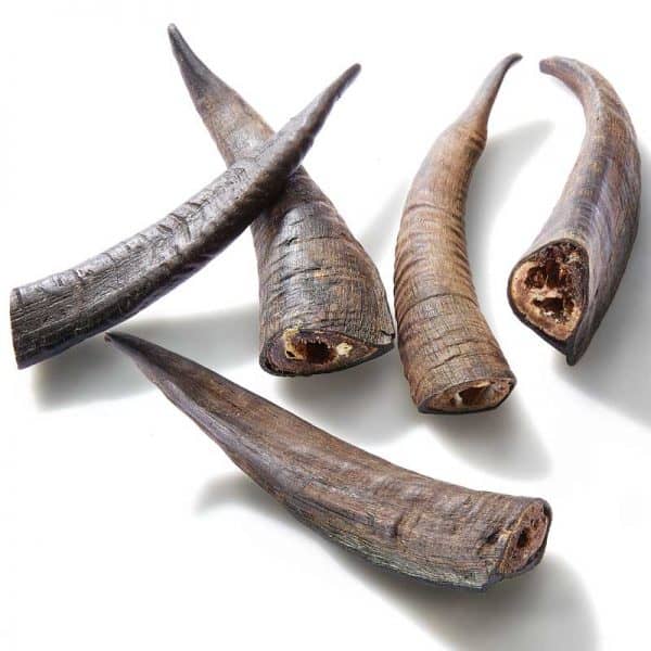 Goat Horn SMALL