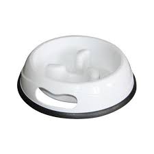 Slow Feeder Bowl LARGE