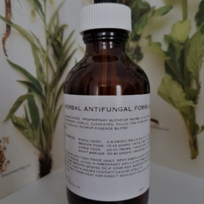 Antifungal 50ml - Canine Vitality