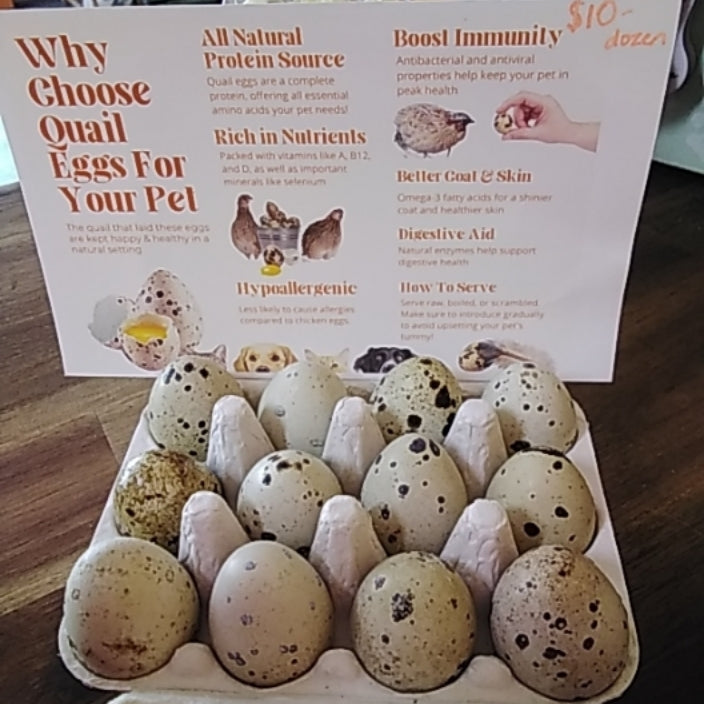 Quail Eggs (1 Dozen)