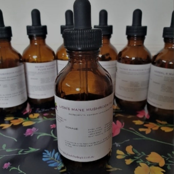 Lion's Mane 50ml - Canine Vitality