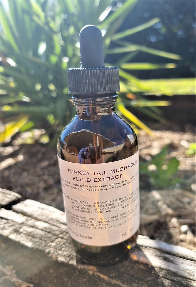 Turkey Tail 100ml - Canine Vitality