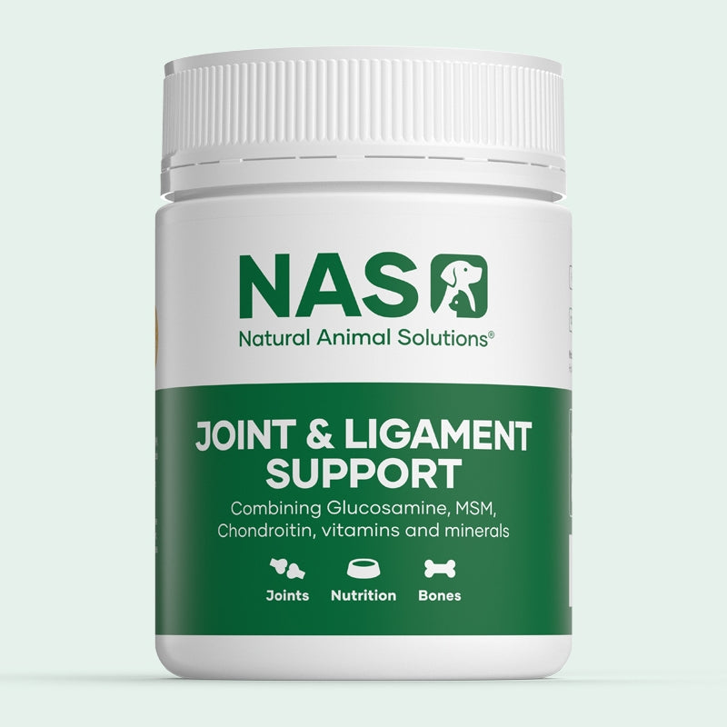 NAS - Joint & Ligament Support 120g